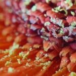 Smartphone macro photography